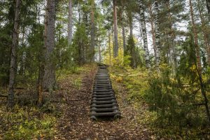 Tenholan Linnavuori portaat