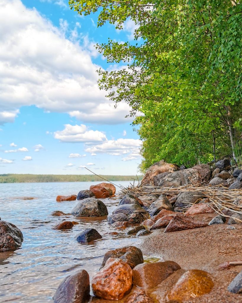 Kesäinen ranta ja Saimaa