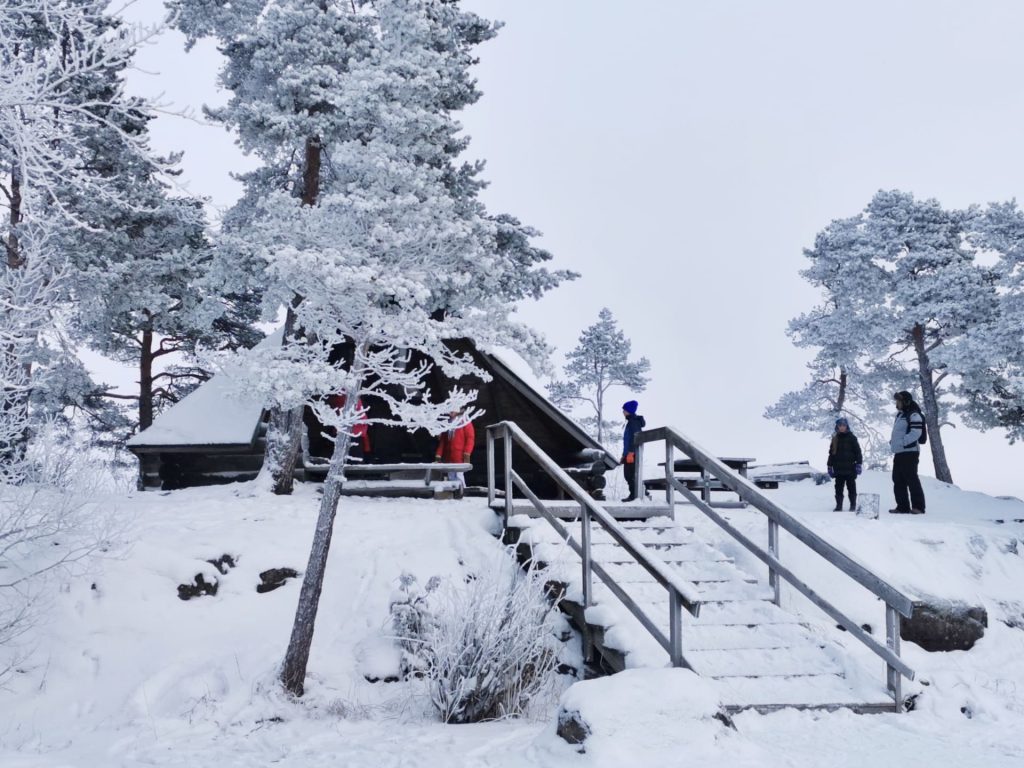 portaat laavulle