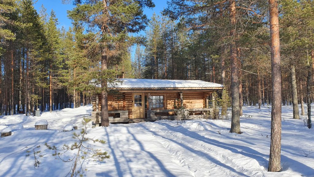 Jarvimökki