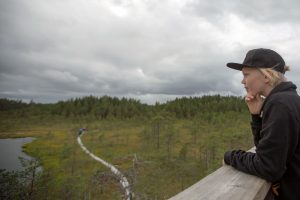 Lapsi näkötornissa Leivonmäen kansallispuistossa. Taustalla kesäistä suomaisemaa ja pitkospuureitti. Kuva: Sannamari Ratilainen