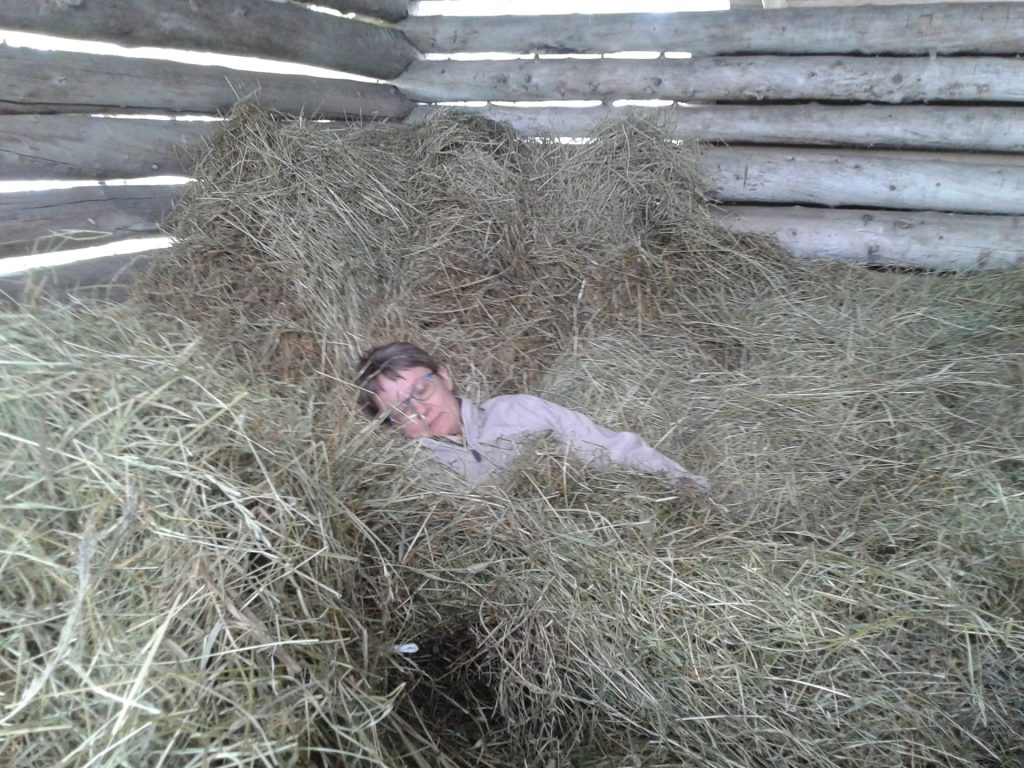Hay barn napping